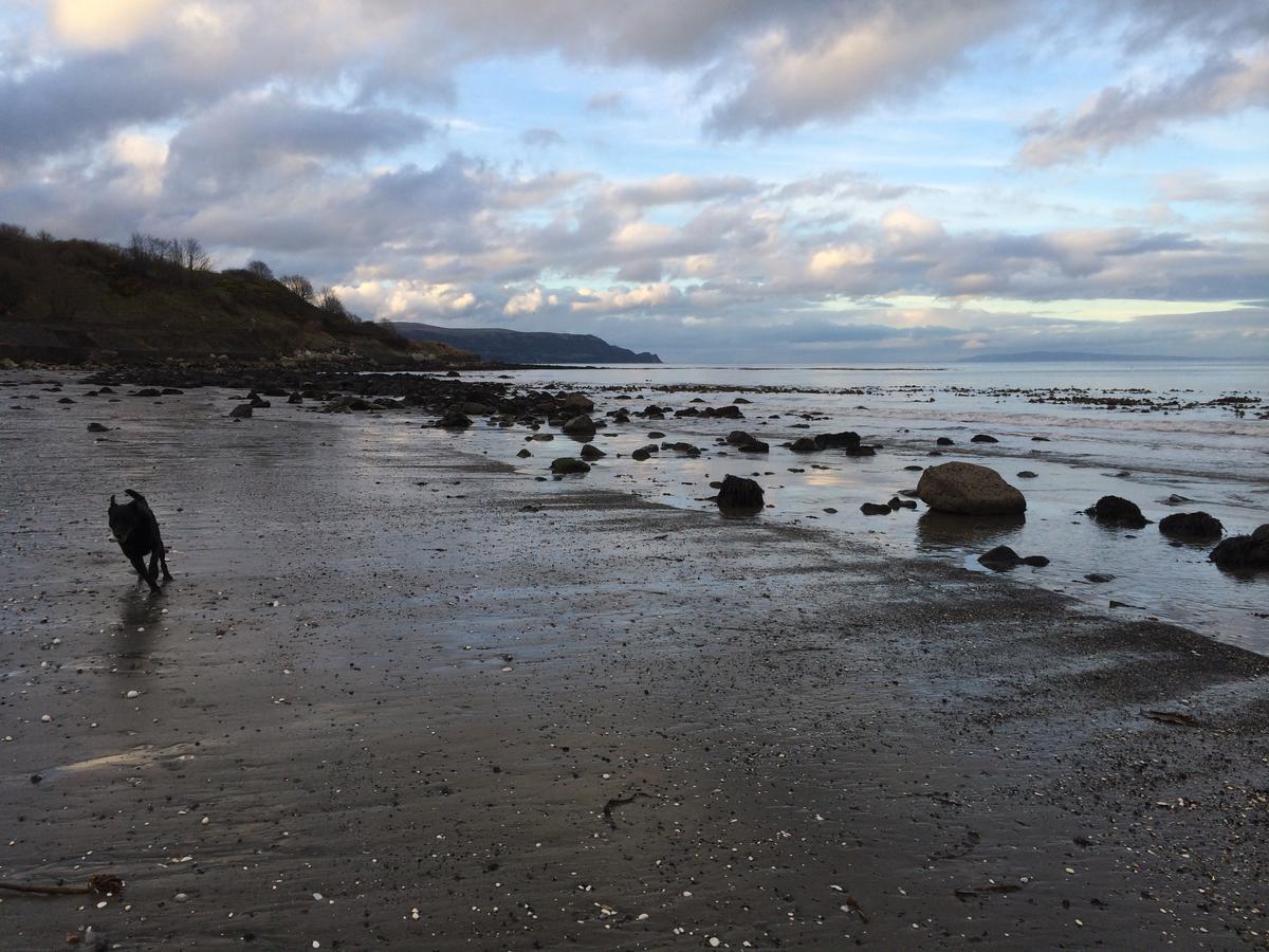 Glenarm Josies Place At Waters Edge Self Catering Apartment מראה חיצוני תמונה
